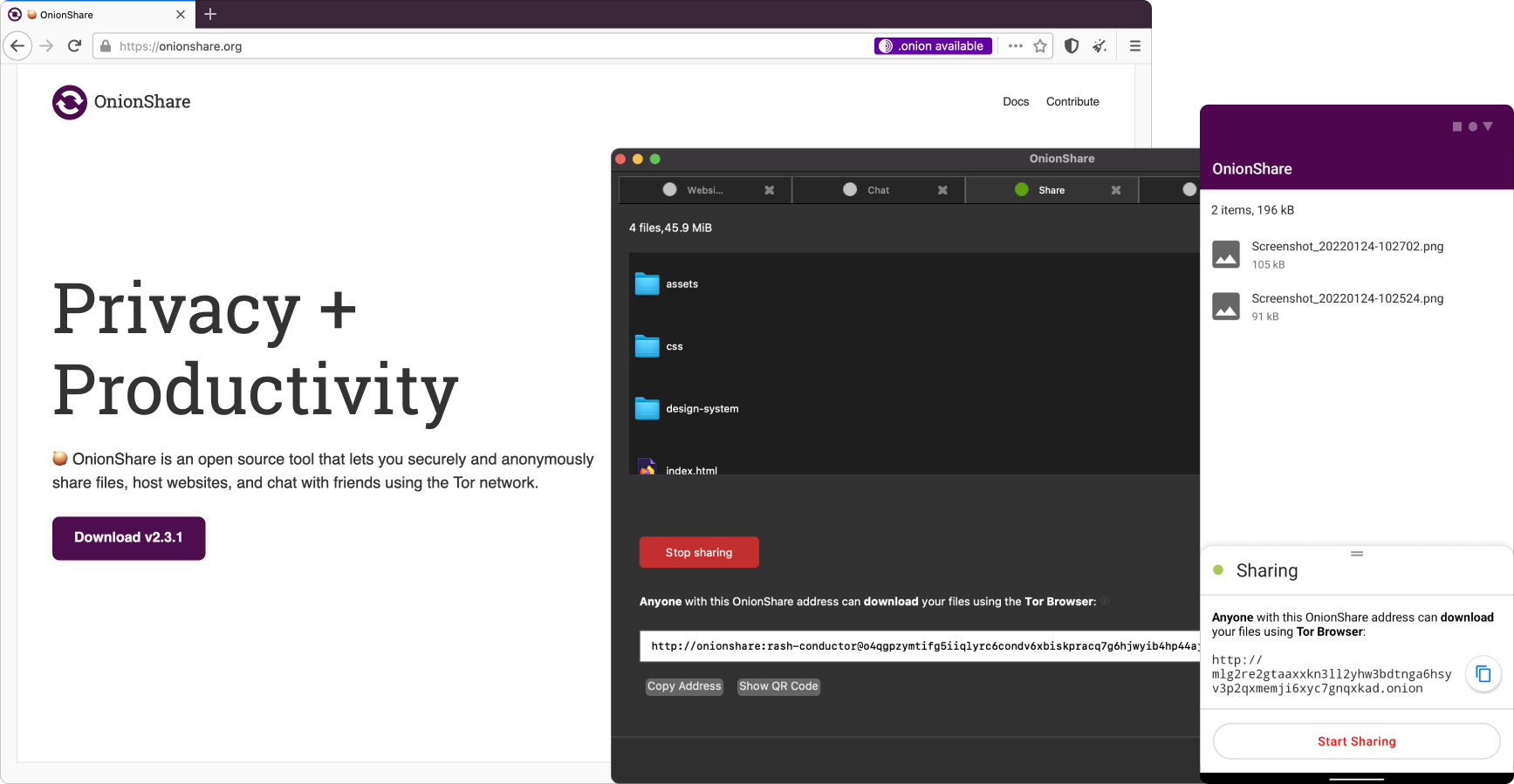 Onionshare website and desktop app.